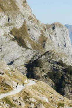 RENON PANTS WOMAN